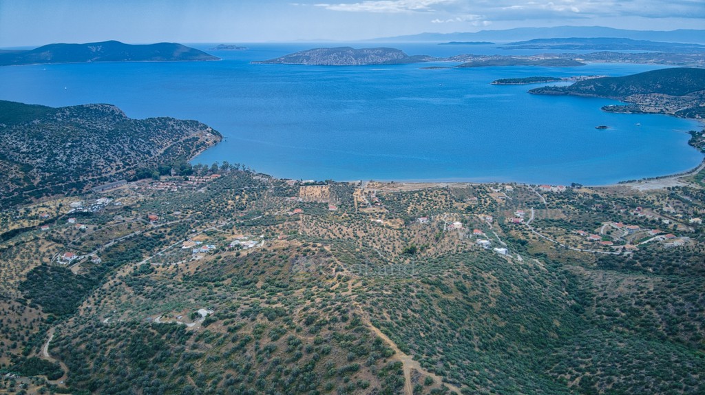 Αγροτεμάχια 4.040 τ.μ. προς πώληση, Αχλαδίτσα