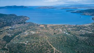 Αγροτεμάχια 4.040 τ.μ. προς πώληση, Αχλαδίτσα-thumb-4