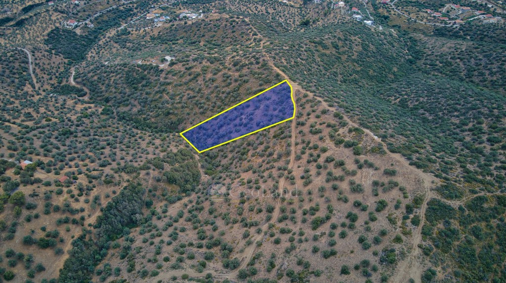 Αγροτεμάχια 4.040 τ.μ. προς πώληση, Αχλαδίτσα