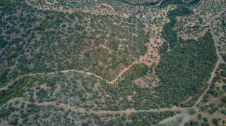 Αγροτεμάχια 4.040 τ.μ. προς πώληση, Αχλαδίτσα-thumb-19