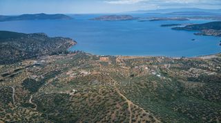 Αγροτεμάχια 4.040 τ.μ. προς πώληση, Αχλαδίτσα-thumb-18