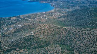 Αγροτεμάχια 4.040 τ.μ. προς πώληση, Αχλαδίτσα-thumb-7