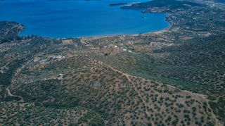 Αγροτεμάχια 4.040 τ.μ. προς πώληση, Αχλαδίτσα-thumb-10