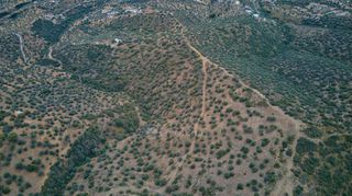 Αγροτεμάχια 4.040 τ.μ. προς πώληση, Αχλαδίτσα-thumb-11