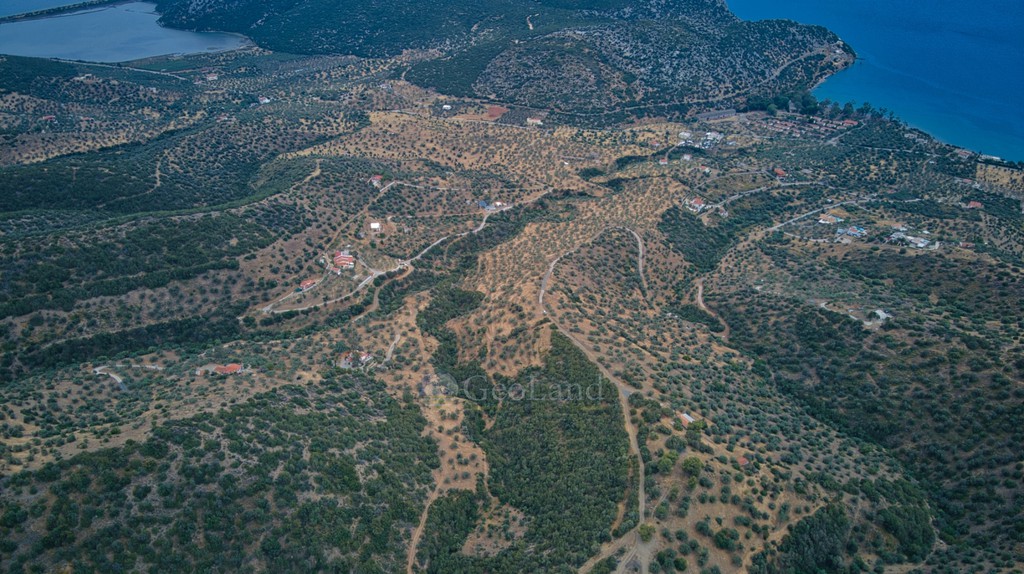 Αγροτεμάχια 4.040 τ.μ. προς πώληση, Αχλαδίτσα