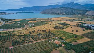 Αγροτεμάχια 18.000 τ.μ. για πώληση