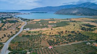 Αγροτεμάχια 18.000 τ.μ. για πώληση, Αργολίδα, Κρανίδι-thumb-7