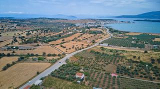 Αγροτεμάχια 18.000 τ.μ. για πώληση, Αργολίδα, Κρανίδι-thumb-11