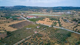 Αγροτεμάχια 18.000 τ.μ. για πώληση, Αργολίδα, Κρανίδι-thumb-6