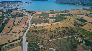 Αγροτεμάχια 18.000 τ.μ. για πώληση, Αργολίδα, Κρανίδι-thumb-10