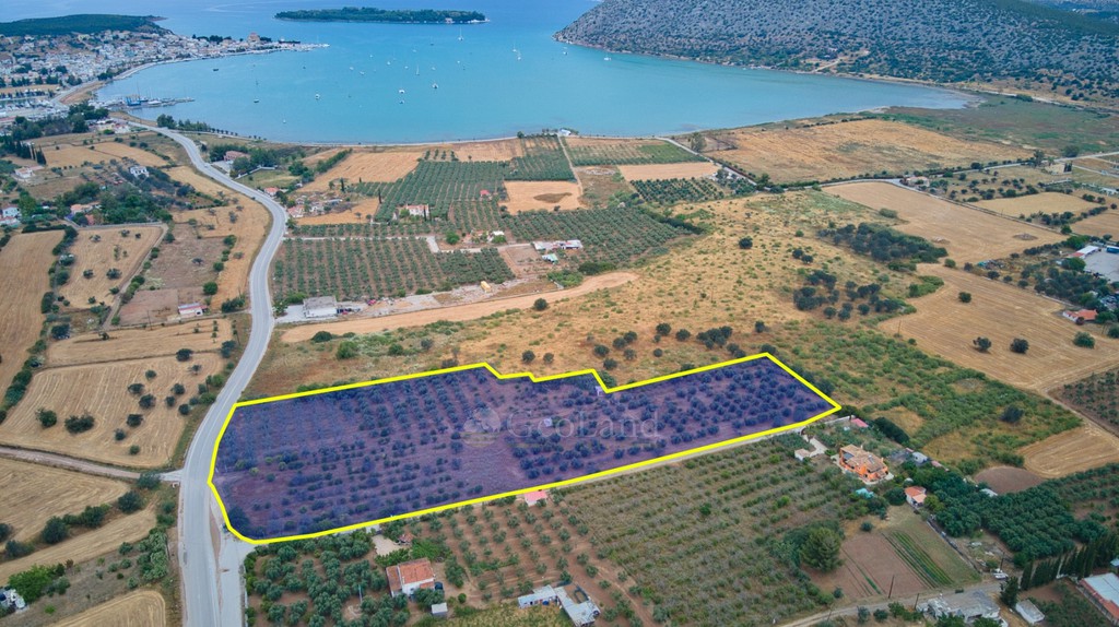Αγροτεμάχια 18.000 τ.μ. πρός πώληση, Αργολίδα, Κρανίδι