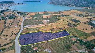Αγροτεμάχια 18.000 τ.μ. για πώληση, Αργολίδα, Κρανίδι-thumb-1