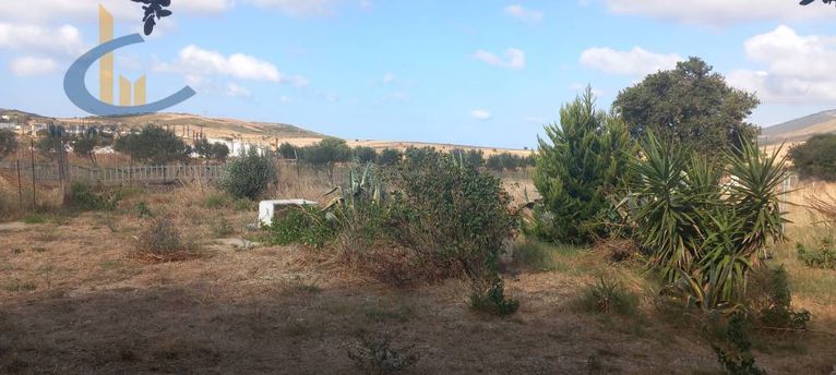 Land plot 4.000 sqm for sale, Evia, Marmari
