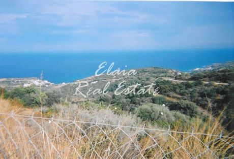 Αγροτεμάχια 17.700 τ.μ. για πώληση