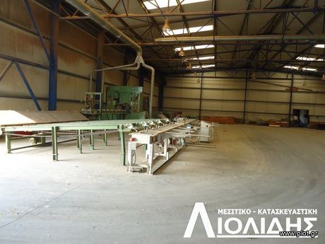 Άλλο 17.000τ.μ. για πώληση-Εχέδωρος » Σίνδος