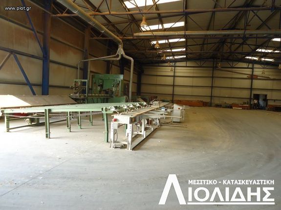 Άλλο 17.000 τ.μ. για πώληση, Θεσσαλονίκη - Περιφ/Κοί Δήμοι, Εχέδωρος