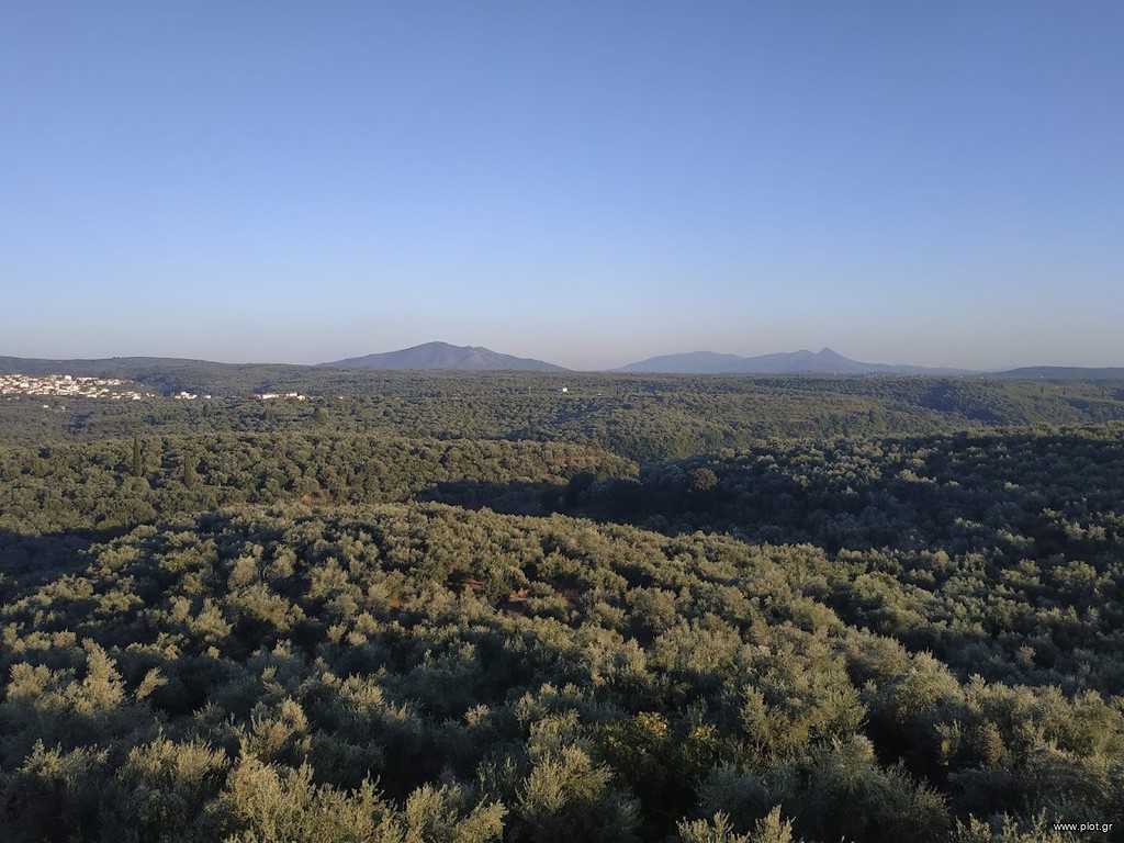 Μονοκατοικία 199 τ.μ. πρός πώληση, Μεσσηνία, Νέστορας