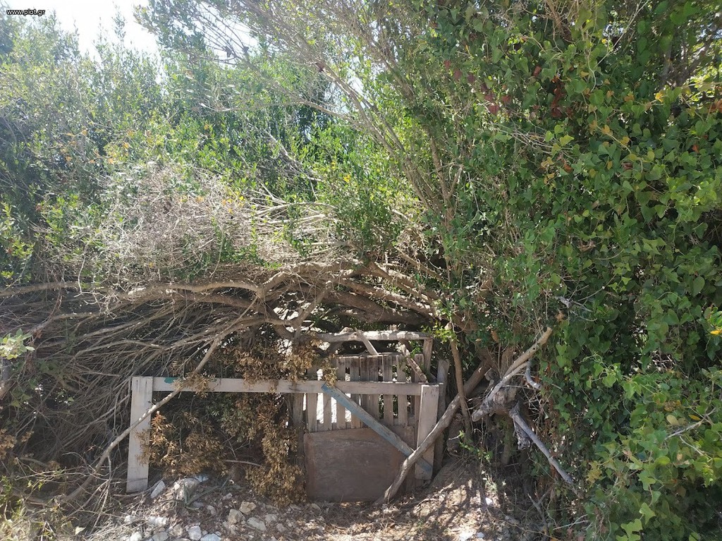 Μονοκατοικία 150 τ.μ. πρός πώληση, Μεσσηνία, Γαργαλιάνοι