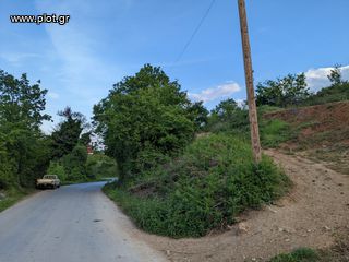 Οικόπεδο 8.000 τ.μ. πρός πώληση, Ημαθία, Νάουσα-thumb-1
