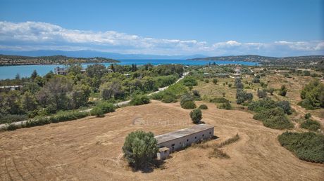 Αγροτεμάχια 11.534τ.μ. για πώληση-Κρανίδι » Βερβερούδα