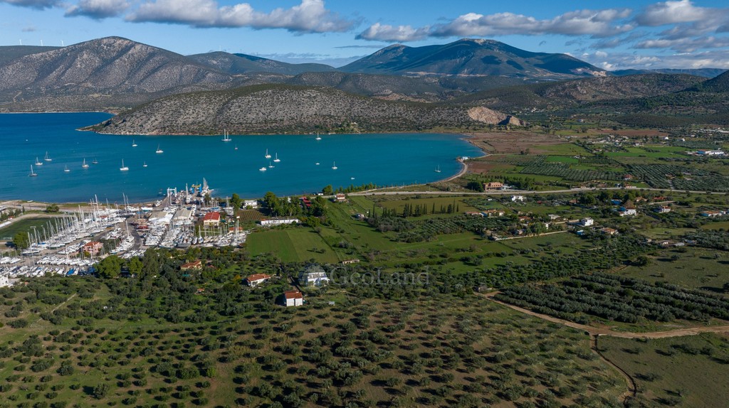 Αγροτεμάχια 5.250 τ.μ. για πώληση, Αργολίδα, Κρανίδι