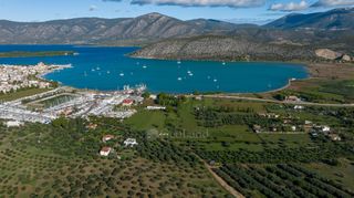Αγροτεμάχια 5.250 τ.μ. για πώληση, Αργολίδα, Κρανίδι-thumb-24
