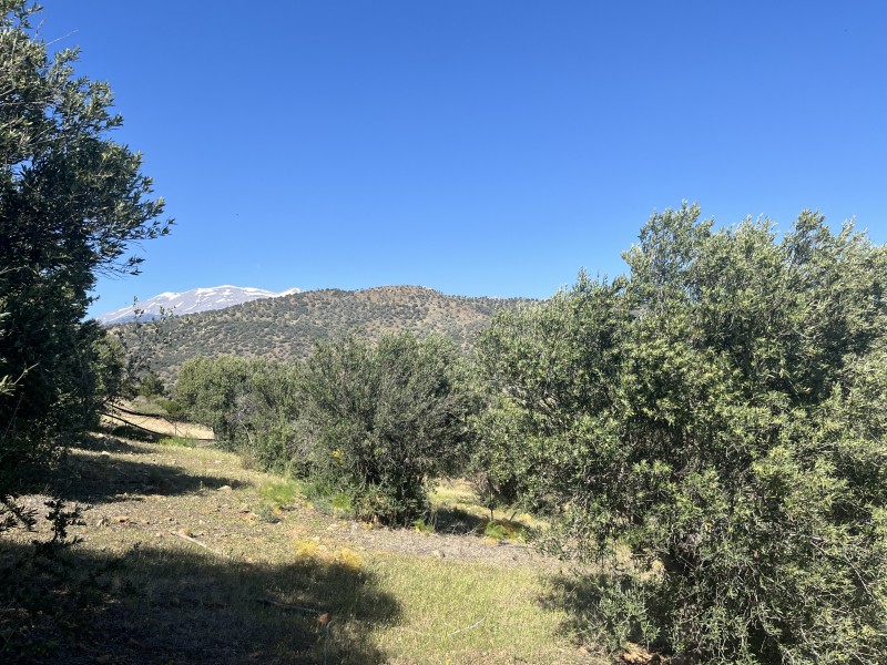 Οικόπεδο 4.800 τ.μ. πρός πώληση, Ν. Ρεθύμνου, Λάμπη