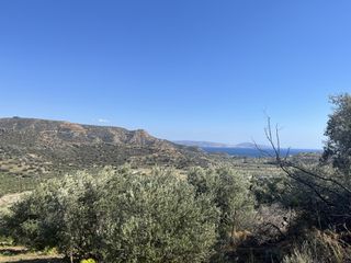 Οικόπεδο 4.800 τ.μ. για πώληση, Ν. Ρεθύμνου, Λάμπη-thumb-4