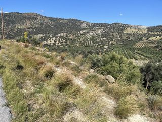 Οικόπεδο 4.800 τ.μ. για πώληση, Ν. Ρεθύμνου, Λάμπη-thumb-3