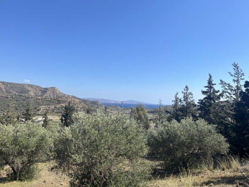 Οικόπεδο 4.800 τ.μ. πρός πώληση, Ν. Ρεθύμνου, Λάμπη