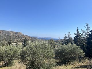 Οικόπεδο 4.800 τ.μ. για πώληση, Ν. Ρεθύμνου, Λάμπη-thumb-1