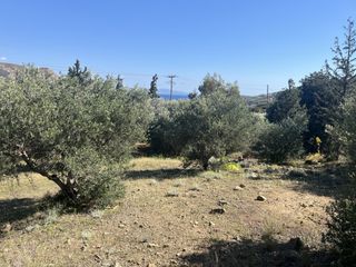 Οικόπεδο 4.800 τ.μ. για πώληση