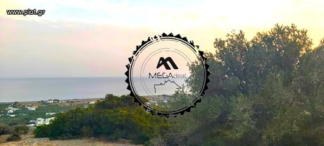 Land plot 6.000sqm for sale-Ierapetra » Koutsounari