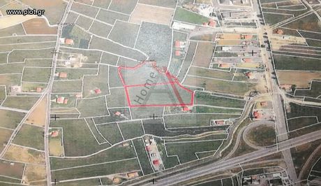 Land plot 22.000sqm for sale-Tripoli » Roumeliotika