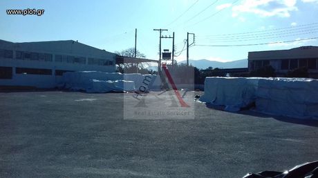 Industrial space 2.900 sqm for sale