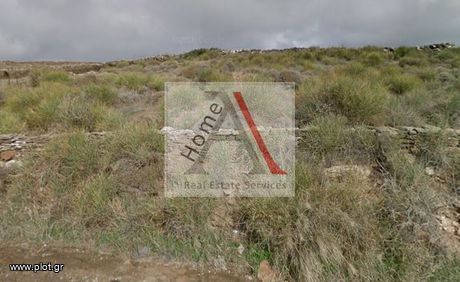Οικόπεδο 7.000 τ.μ. για πώληση