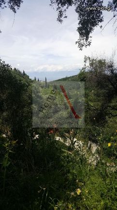 Άλλο 3.000 τ.μ. για πώληση, Ν. Κέρκυρας, Κέρκυρα