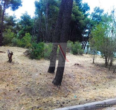 Land plot 849sqm for sale-Penteli » Ano Penteli
