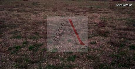 Land plot 10.000sqm for sale-Rhodes » Rhodes Town
