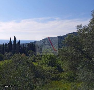 Parcel 1.500sqm for sale-Corfu » ΑGios Georgios