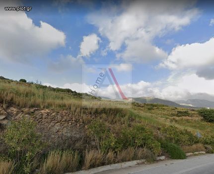 Parcel 4.000sqm for sale-Kassandra » Afitos