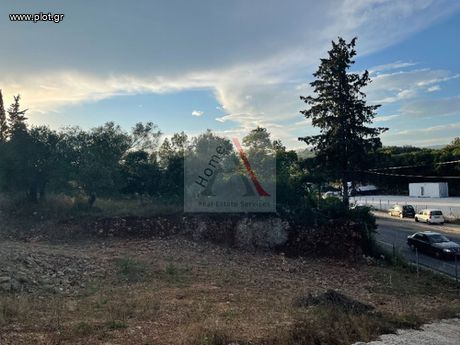 Οικόπεδο 6.500τ.μ. για πώληση-Κέρκυρα » Φαίακες