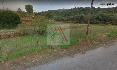 Αγροτεμάχια 2.650τ.μ. για πώληση-Δυτικής αχαΐας » Αλυκές