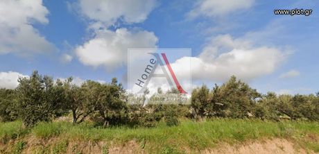 Οικόπεδο 200τ.μ. για πώληση-Κουβαράς » Νέος κουβαράς