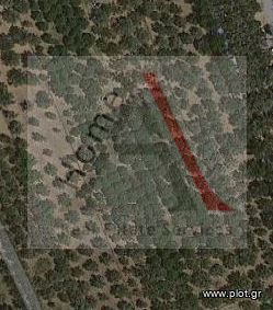 Άλλο 8.500τ.μ. για πώληση-Γύθειο » Μαυροβούνι