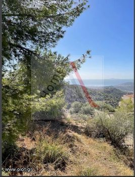 Οικόπεδο 403 τ.μ. για πώληση