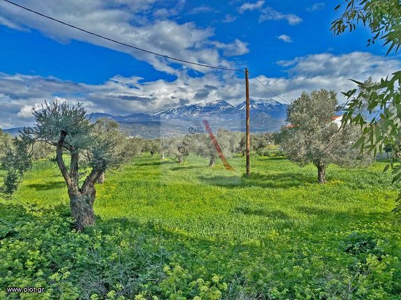 Οικόπεδο 14.000 τ.μ. για πώληση, Ν. Ηρακλείου, Τυμπάκι