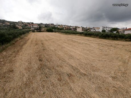 Οικόπεδο 4.218 τ.μ. για πώληση