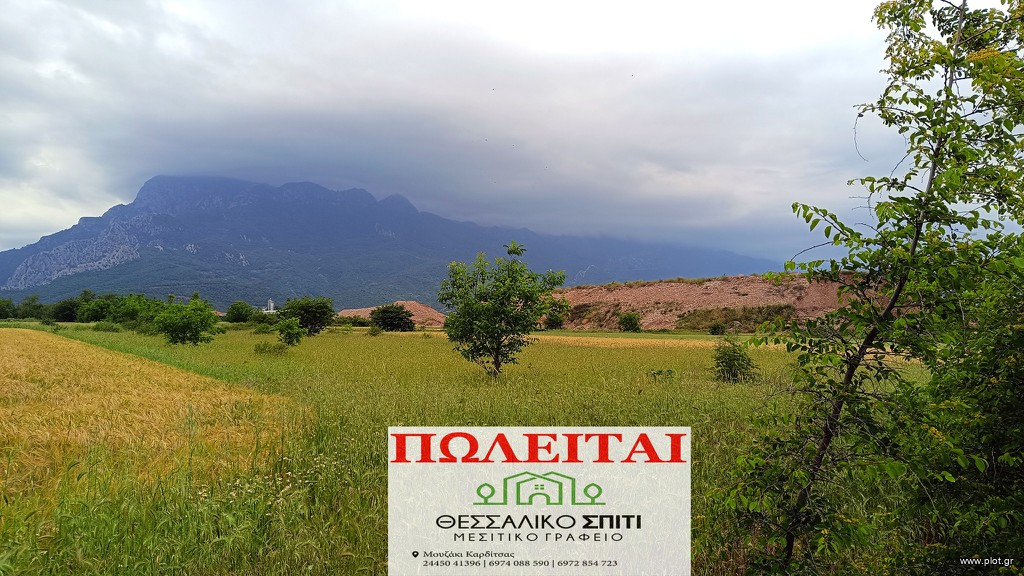 Αγροτεμάχια 2.990 τ.μ. πρός πώληση, Ν. Τρικάλων, Γόμφοι
