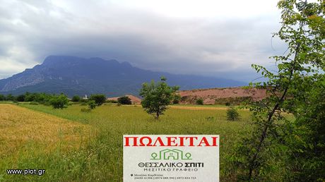 Αγροτεμάχια 2.990τ.μ. για πώληση-Γόμφοι » Παλαιομονάστηρο